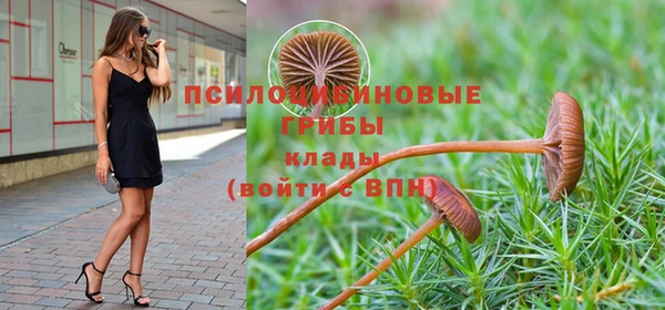 герыч Касимов