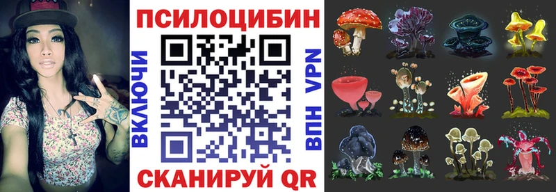 Псилоцибиновые грибы мухоморы Дмитриев