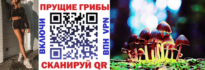 Псилоцибиновые грибы ЛСД  Купить  Дмитриев 